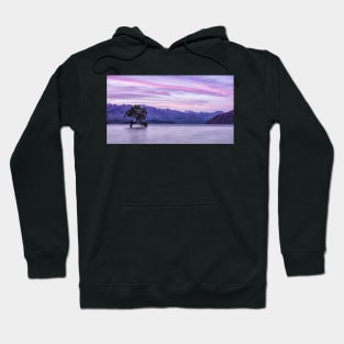 The Sun Sets Over That Wanaka Tree Hoodie